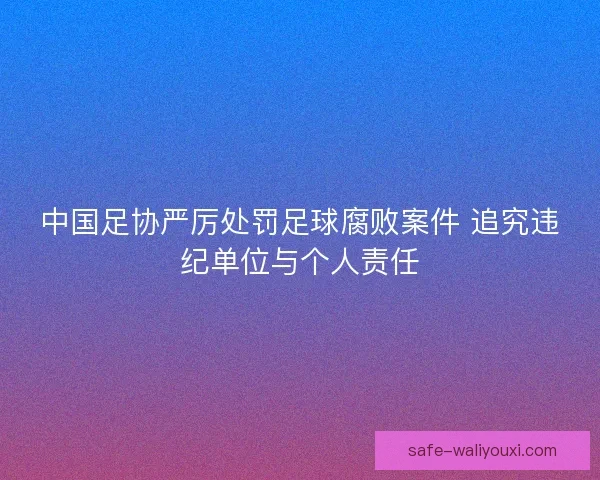 中国足协严厉处罚足球腐败案件 追究违纪单位与个人责任